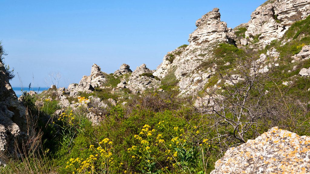 Джангуль