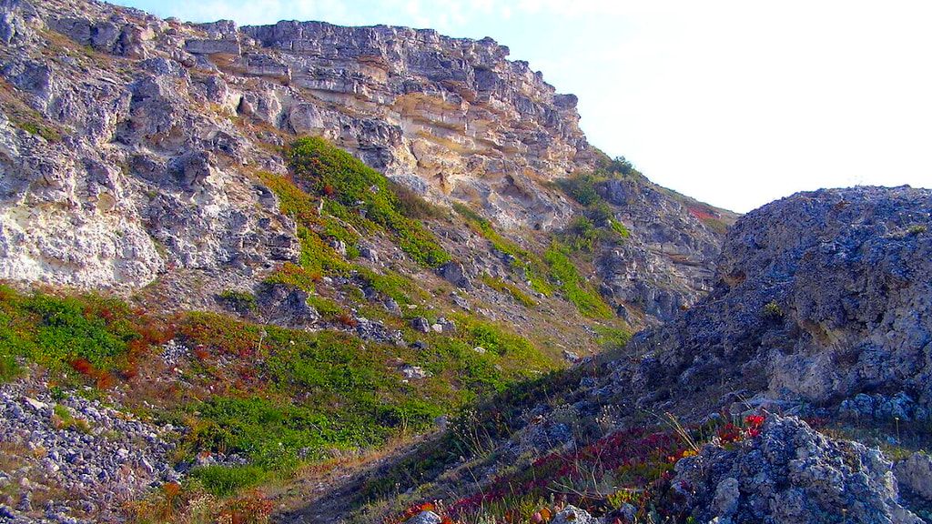 Джангуль